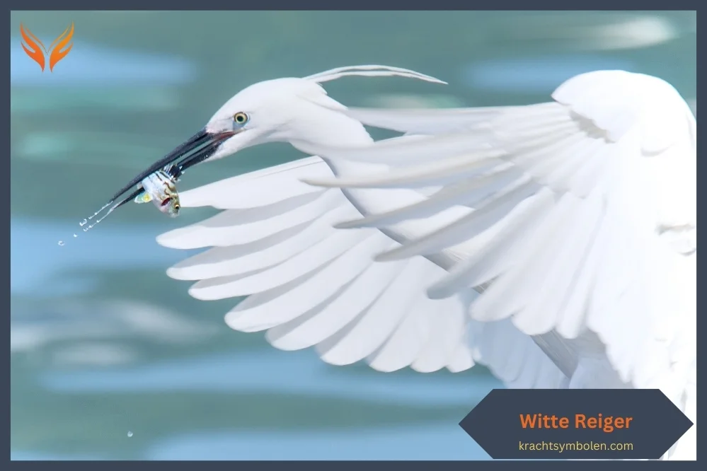 Krachtdier witte reiger