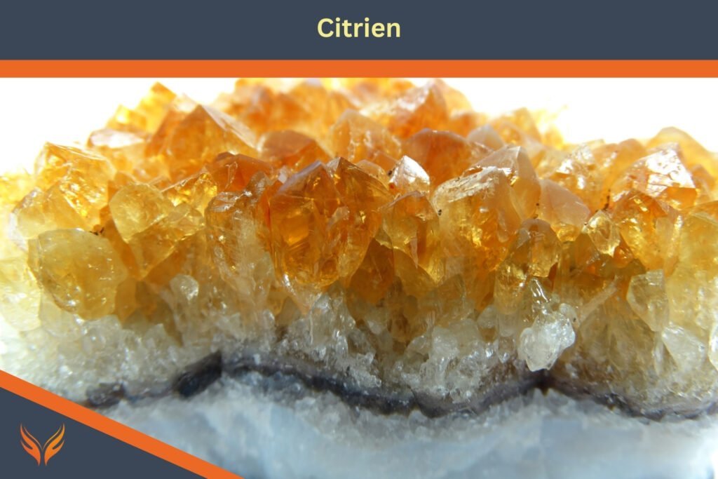 Citrien