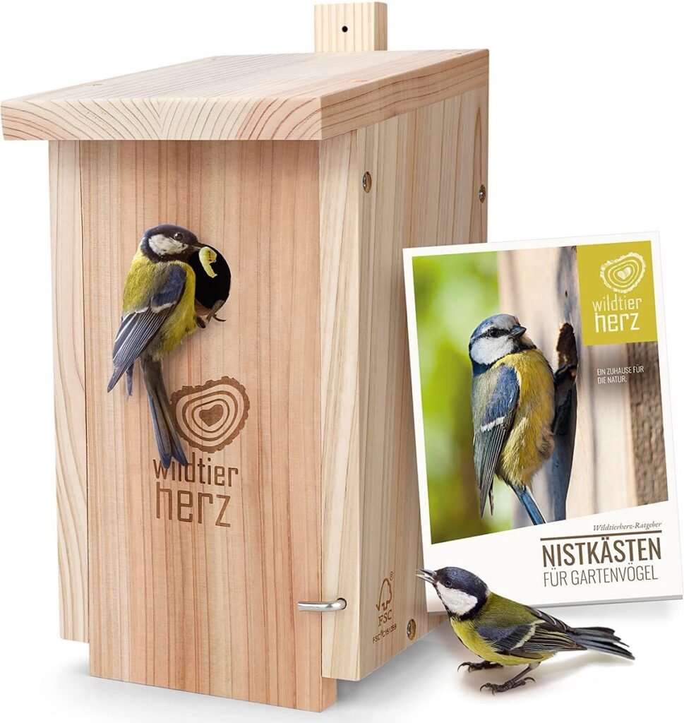Nestkastje koolmees