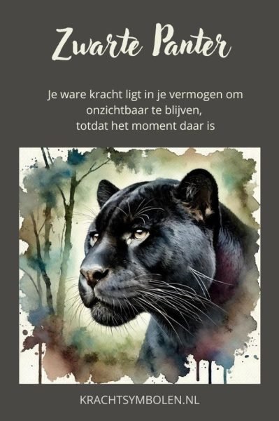 Krachtdier zwarte panter