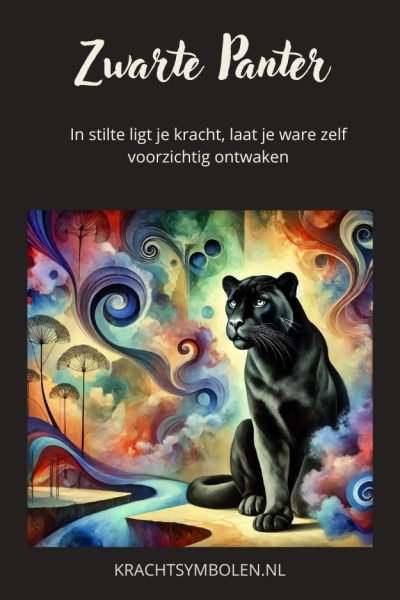 Dromen van een zwarte panter